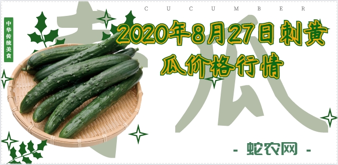 2020年8月27日刺黄瓜价格行情、今日刺黄瓜多少钱一斤？