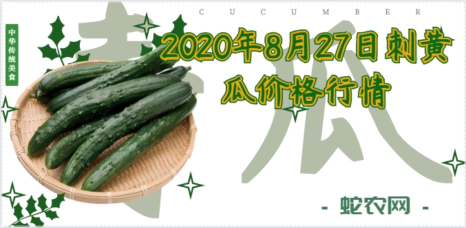 2020年8月27日刺黄瓜价格行情、今日刺黄瓜多少钱一斤?