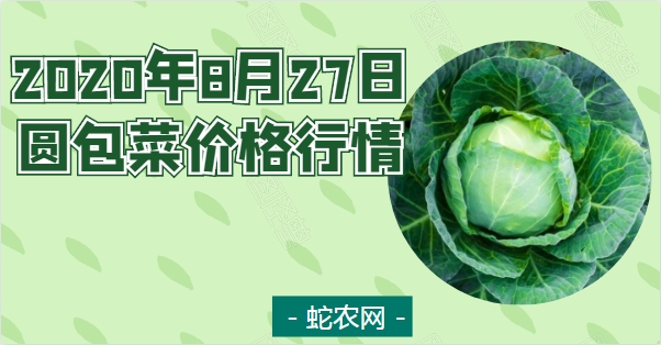 2020年8月27日圆包菜价格行情、今日圆包菜多少钱一斤?