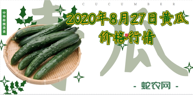 2020年8月27日黄瓜价格行情、今日各种黄瓜多少钱一斤?