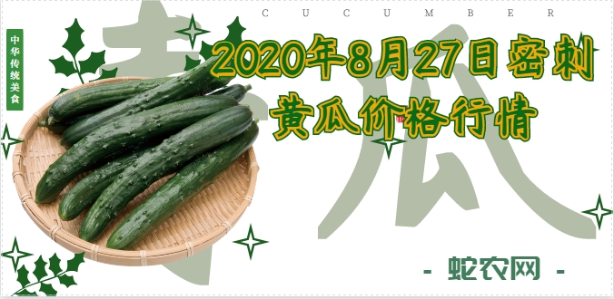 2020年8月27日密刺黄瓜价格行情、今日密刺黄瓜多少钱一斤?