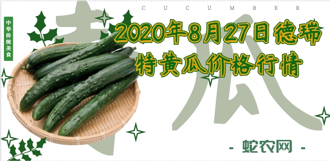 2020年8月27日德瑞特黄瓜价格行情、今日德瑞特721黄瓜多少钱一斤？