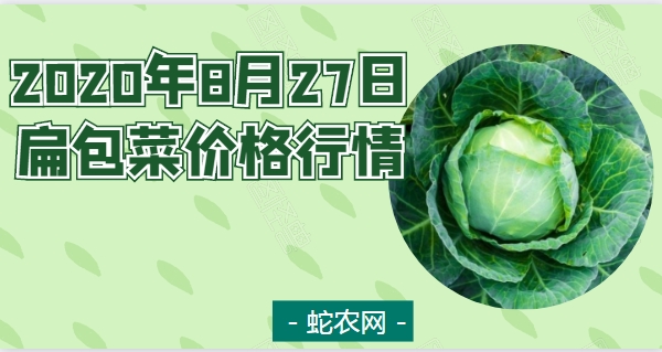 2020年8月27日扁包菜价格行情、今日扁包菜多少钱一斤？