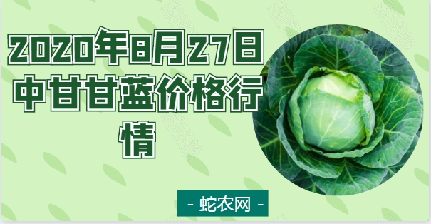 2020年8月27日中甘甘蓝价格行情、今日中甘21甘蓝多少钱一斤？