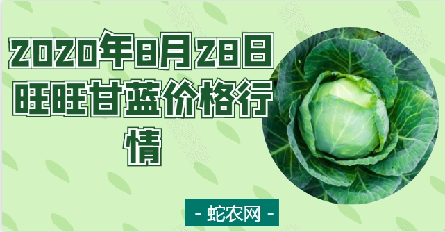 2020年8月28日旺旺甘蓝价格行情、今日旺旺甘蓝多少钱一斤?