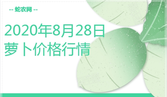 2020年8月28日萝卜价格行情、今日各种萝卜多少钱一斤?