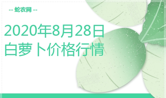 2020年8月28日白萝卜价格行情、今日白萝卜多少钱一斤?