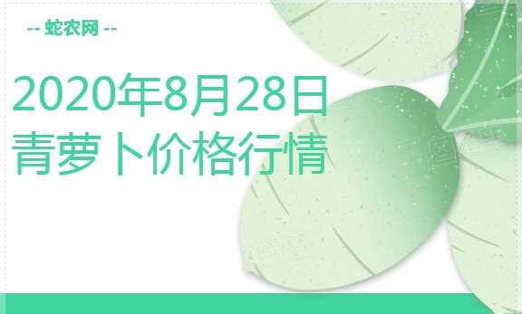 2020年8月28日青萝卜价格行情、今日青萝卜多少钱一斤?