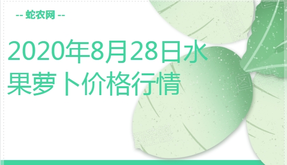 2020年8月28日水果萝卜价格行情、今日沙窝张家萝卜多少钱一斤?
