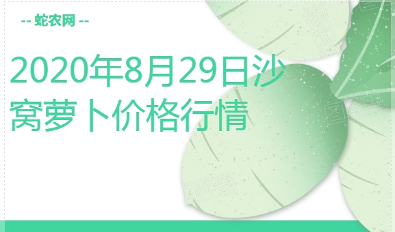 2020年8月29日沙窝萝卜价格行情、今日沙窝萝卜多少钱一斤？