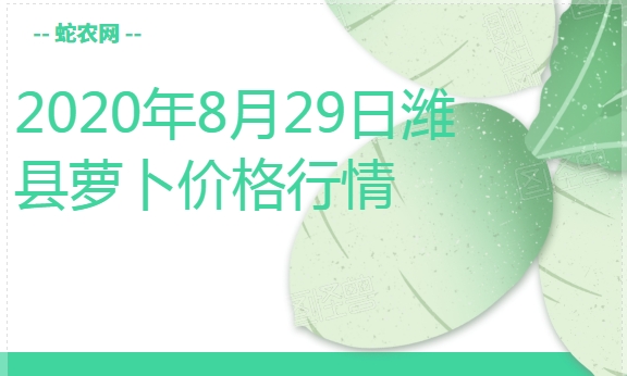 2020年8月29日潍县萝卜价格行情、今日潍县萝卜多少钱一斤？