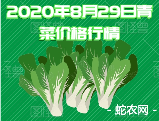 2020年8月29日青菜价格行情、今日各种青菜多少钱一斤？