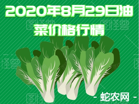 2020年8月29日油菜价格行情、今日油白菜多少钱一斤？