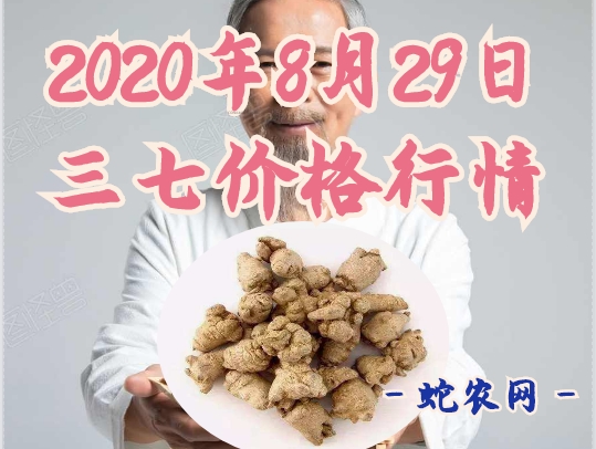 2020年8月29日三七价格行情、今日各种三七多少钱一斤?