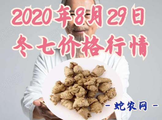 2020年8月29日冬七价格行情、今日冬三七多少钱一斤?