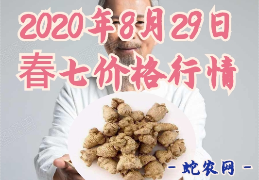 2020年8月29日春七价格行情、今日春三七多少钱一斤?