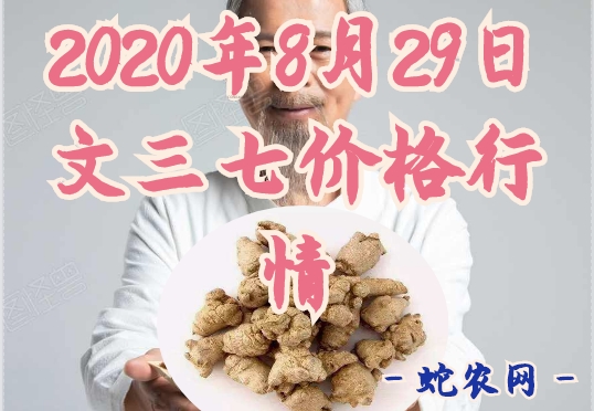 2020年8月29日文三七价格行情、今日文山三七多少钱一斤?