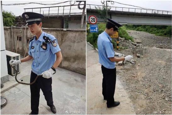 宁国大蛇侵扰居民!民警变身“捕蛇高手”为民解忧!