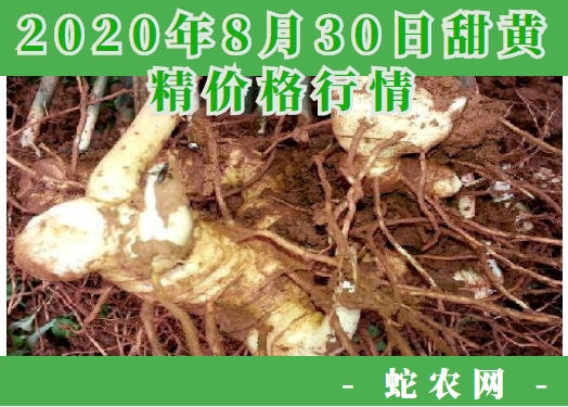 2020年8月30日甜黄精价格行情、今日甜黄精多少钱一斤？
