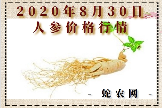 2020年8月30日人参价格行情、今日各种人参多少钱一斤?
