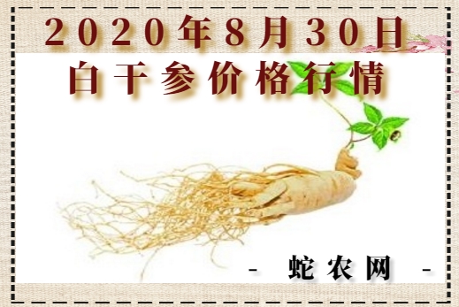 2020年8月30日白干参价格行情、今日白干参多少钱一斤?