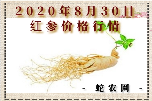 2020年8月30日红参价格行情、今日红参多少钱一斤?
