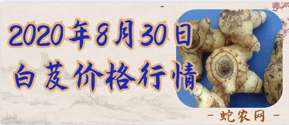 2020年8月30日白芨价格行情、今日白及多少钱一斤?