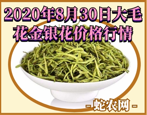 2020年8月30日大毛花金银花价格行情、今日大毛花金银花多少钱一斤？