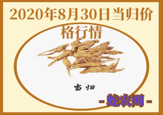 2020年8月30日当归价格行情、今日各种当归多少钱一斤?