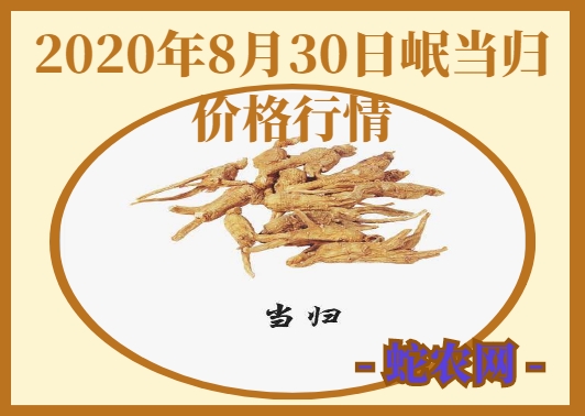 2020年8月30日岷当归价格行情、今日岷县当归多少钱一斤?