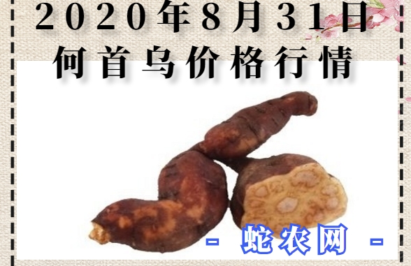 2020年8月31日何首乌价格行情、今日何首乌多少钱一斤?