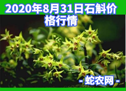 2020年8月31日石斛价格行情、今日各种石斛多少钱一斤？