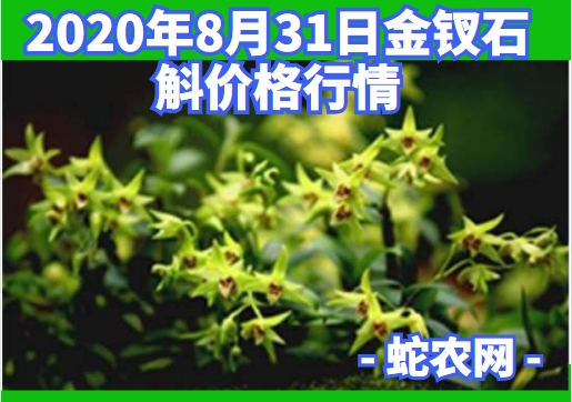 2020年8月31日金钗石斛价格行情、今日金钗石斛多少钱一斤?