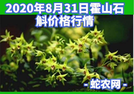 2020年8月31日霍山石斛价格行情、今日霍山石斛多少钱一斤?
