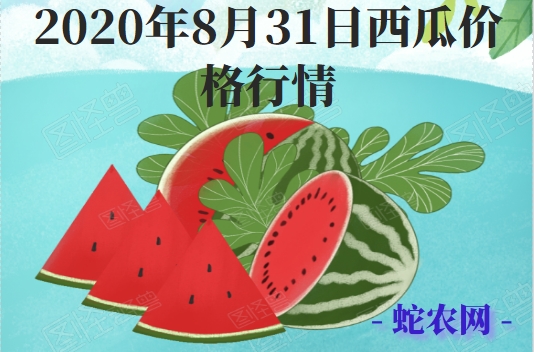 2020年8月31日西瓜价格行情、今日各种西瓜多少钱一斤?