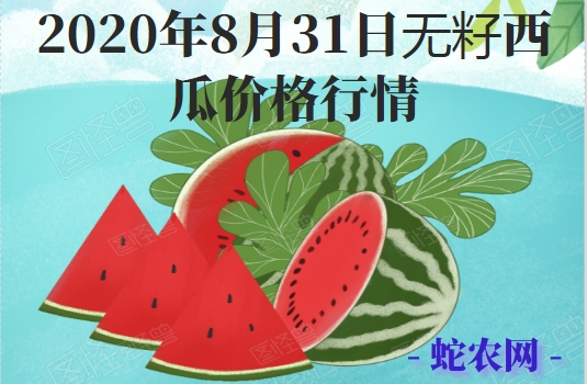 2020年8月31日无籽西瓜价格行情、今日无籽西瓜多少钱一斤?