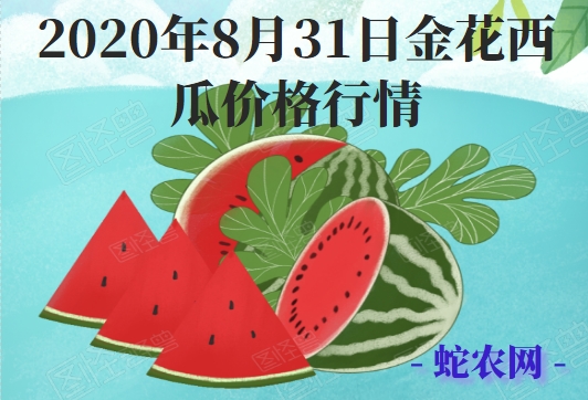 2020年8月31日金花西瓜价格行情、今日金花西瓜多少钱一斤?