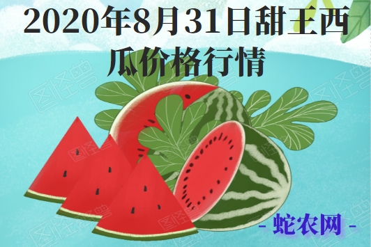 2020年8月31日甜王西瓜价格行情、今日甜王西瓜多少钱一斤？