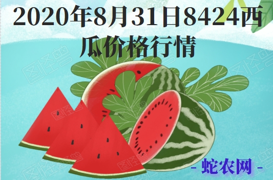 2020年8月31日8424西瓜价格行情、今日8424西瓜多少钱一斤？