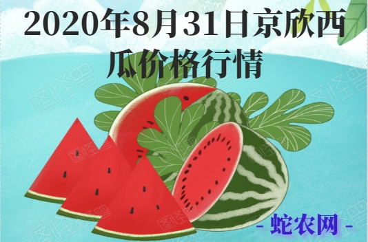 2020年8月31日京欣西瓜价格行情、今日京欣西瓜多少钱一斤?