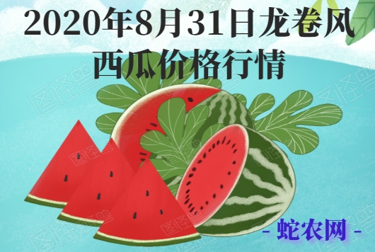 2020年8月31日龙卷风西瓜价格行情、今日龙卷风西瓜多少钱一斤?