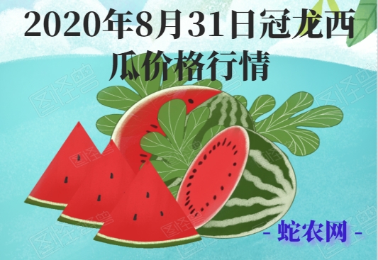 2020年8月31日冠龙西瓜价格行情、今日冠龙西瓜多少钱一斤?