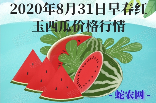 2020年8月31日早春红玉西瓜价格行情、今日早春红玉西瓜多少钱一斤？