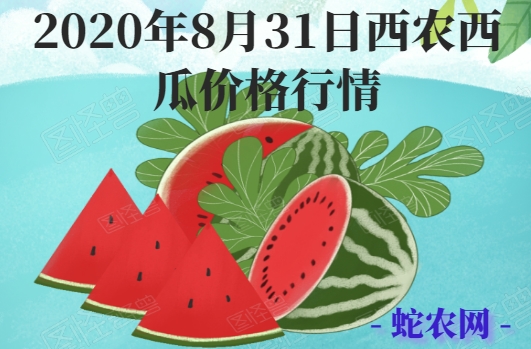 2020年8月31日西农西瓜价格行情、今日西农西瓜多少钱一斤?