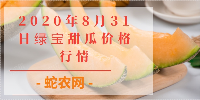 2020年8月31日绿宝甜瓜价格行情、今日绿宝甜瓜多少钱一斤?
