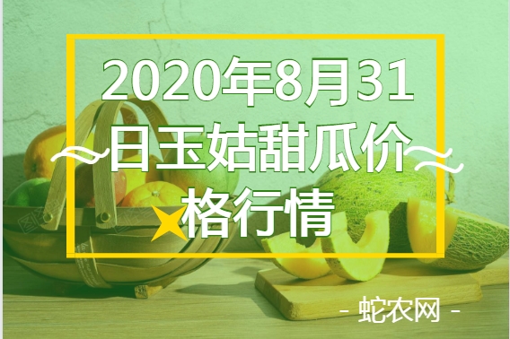 2020年8月31日玉姑甜瓜价格行情、今日玉姑甜瓜多少钱一斤?