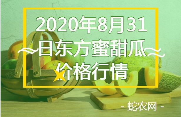 2020年8月31日东方蜜甜瓜价格行情、今日东方蜜1号甜瓜多少钱一斤?