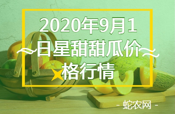 2020年9月1日星甜甜瓜价格行情、今日星甜甜瓜多少钱一斤?