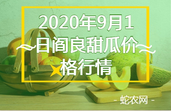 2020年9月1日阎良甜瓜价格行情、今日阎良甜瓜多少钱一斤?