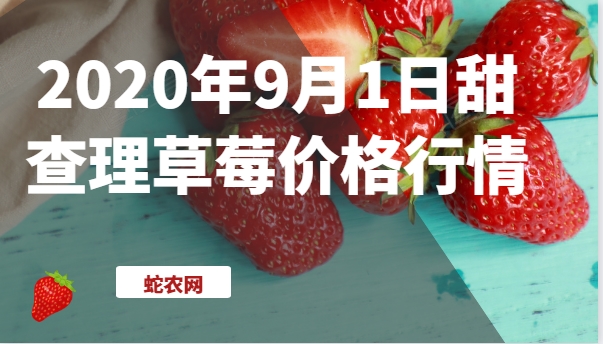 2020年9月1日甜查理草莓价格行情、今日甜查理草莓多少钱一斤？